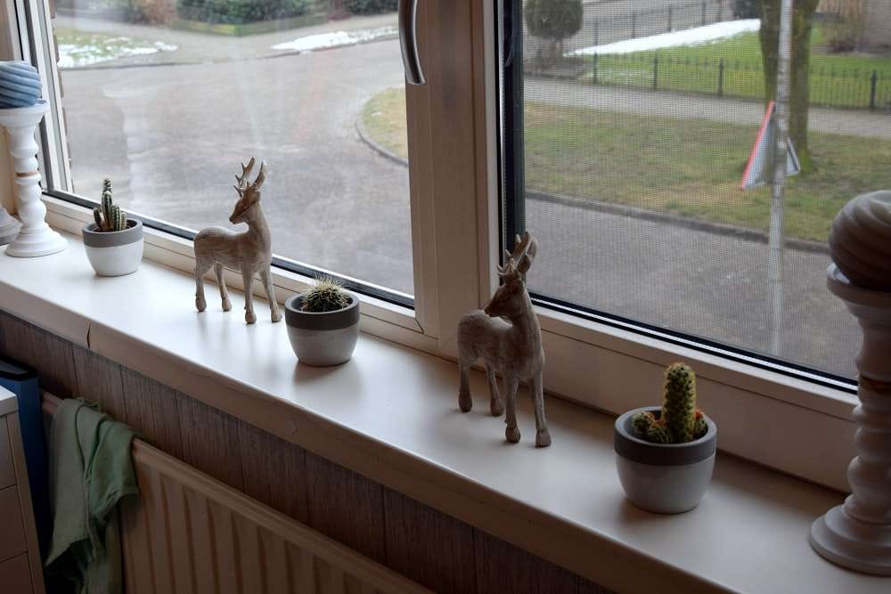 kamer-opgeruimd-houden-1-6