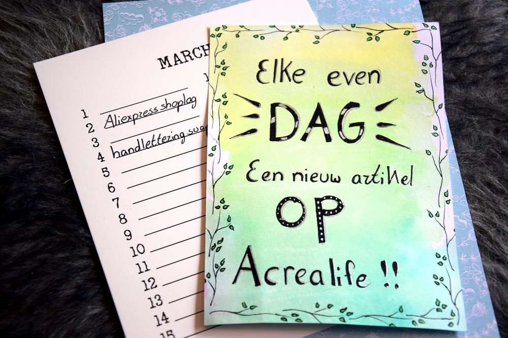 nieuw-blogschema