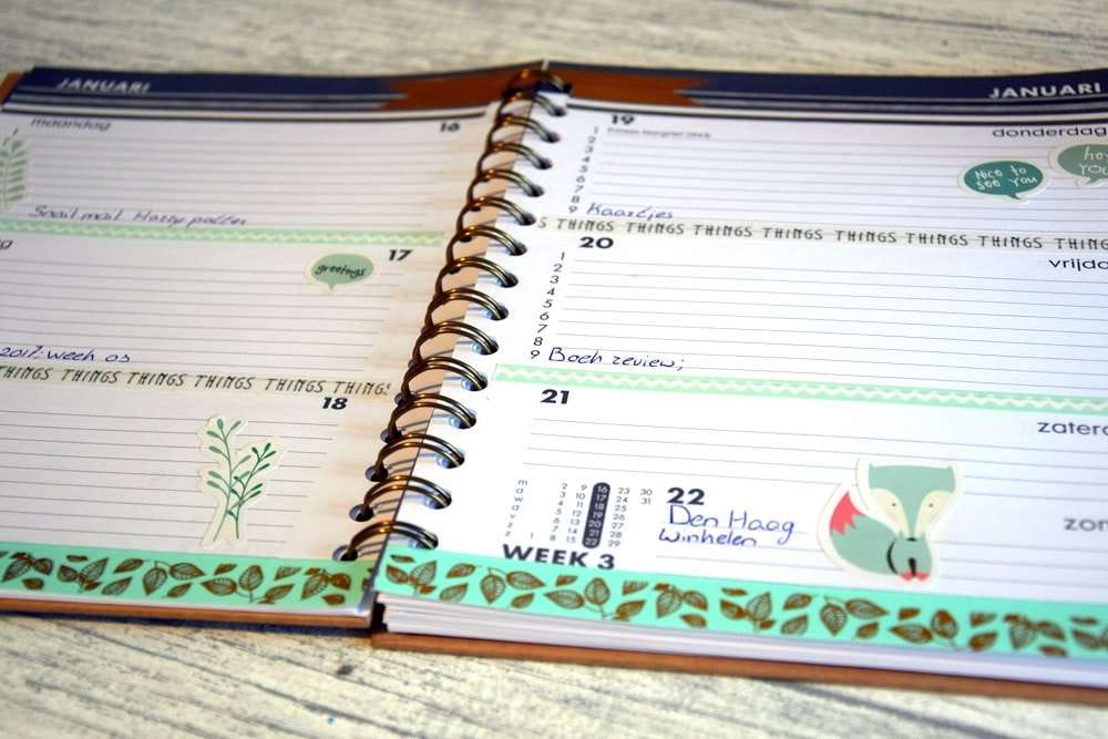 plan-with-me-agenda-2017-week-03-1-1