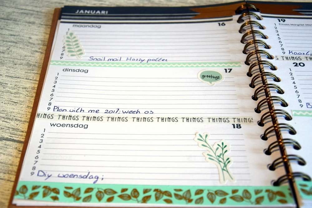 plan-with-me-agenda-2017-week-03-1-2