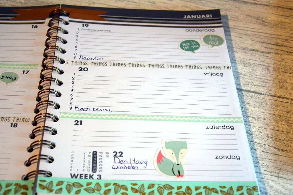 plan-with-me-agenda-2017-week-03-1-3