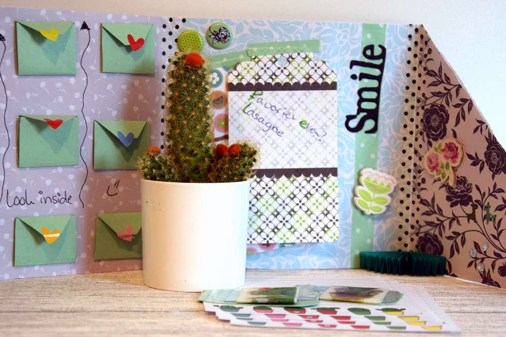 Snail mail cactus 1.2