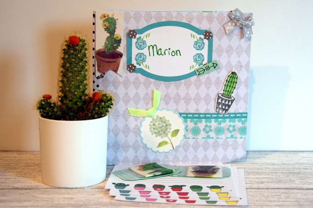 Snail mail cactus